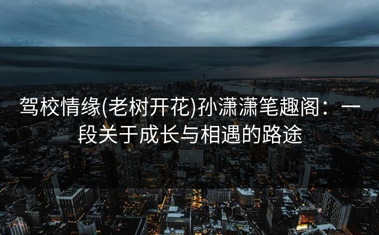 驾校情缘(老树开花)孙潇潇笔趣阁：一段关于成长与相遇的路途