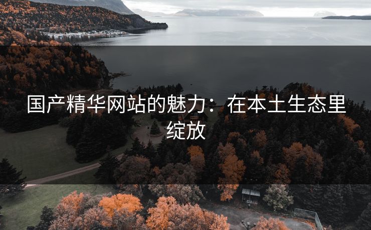 国产精华网站的魅力：在本土生态里绽放