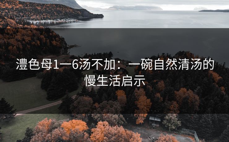 澧色母1一6汤不加：一碗自然清汤的慢生活启示