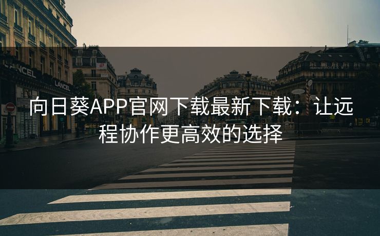向日葵APP官网下载最新下载：让远程协作更高效的选择