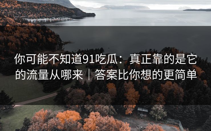 你可能不知道91吃瓜：真正靠的是它的流量从哪来｜答案比你想的更简单